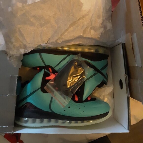 lebron retro south beach